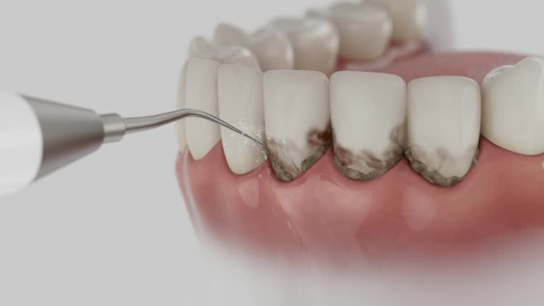 Reliable Dental contractor in Newell, WV by Dentist Open Now